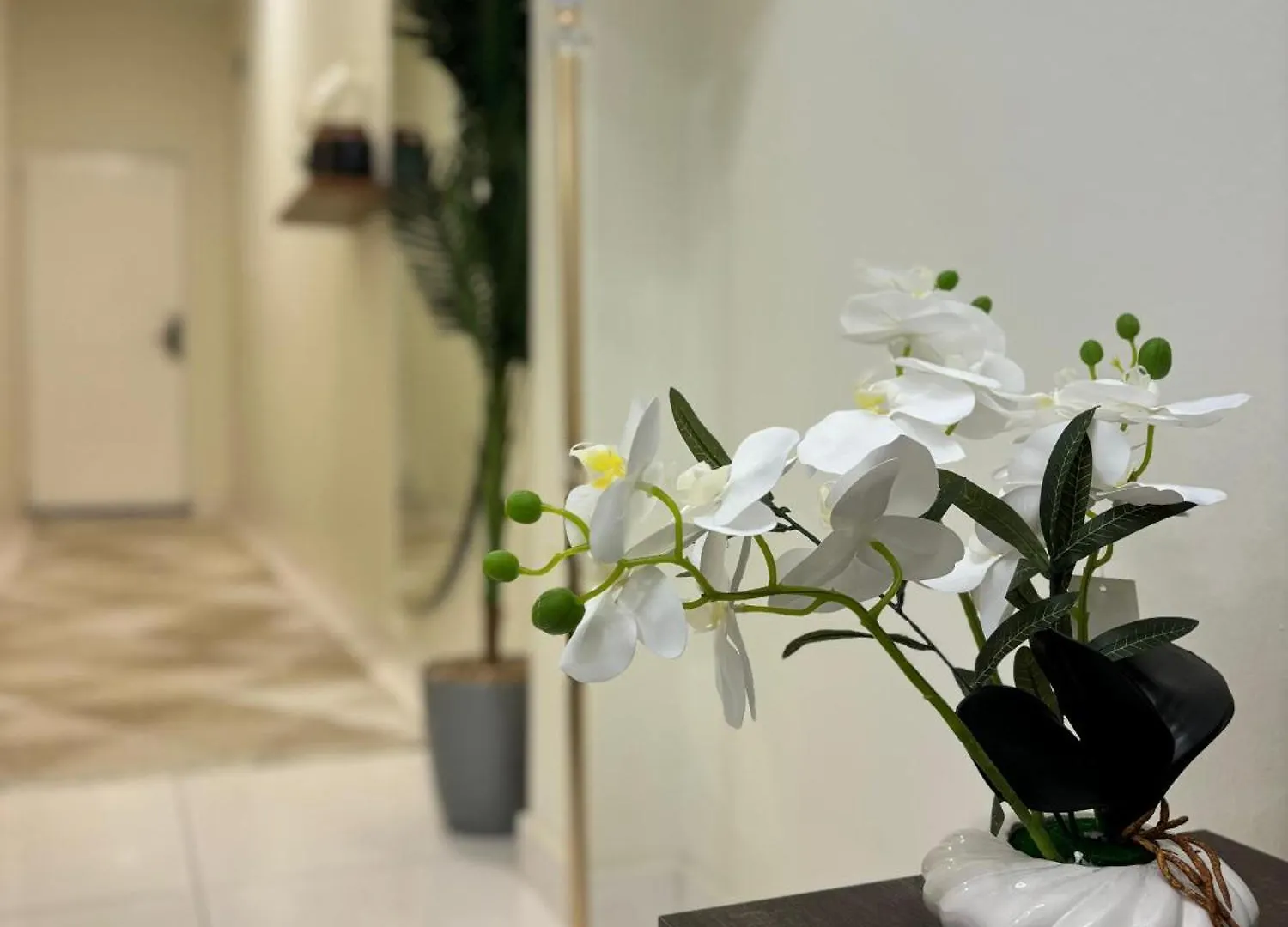 Apartment شقة غرفة وصالة رائعة وهادئة في المروج 10 Riyadh